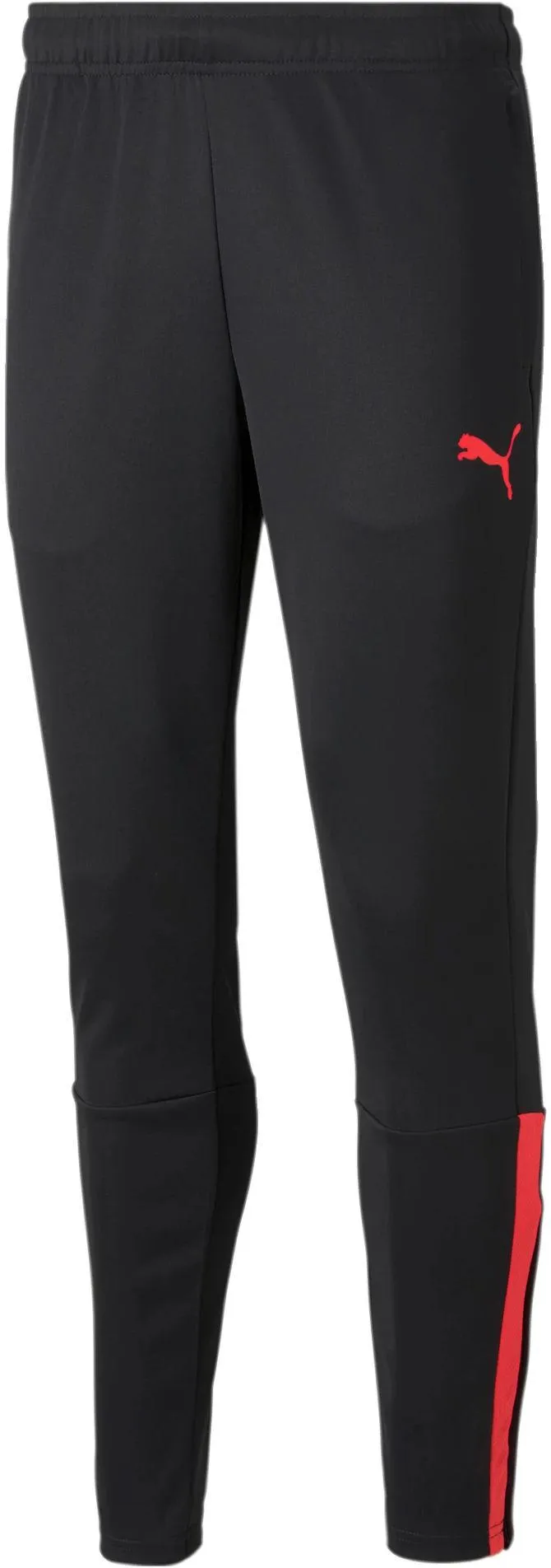 Pantalón Puma teamLIGA Training Pants
